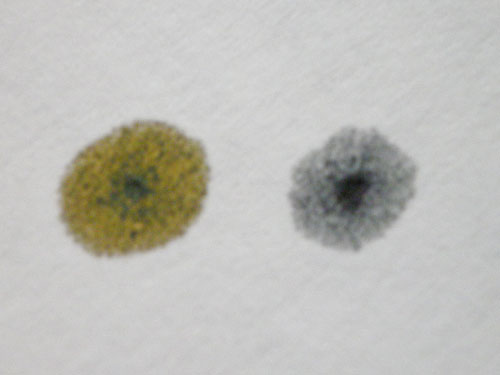 Fading Ink – Brainfart.SG